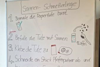 EIne Tafel, auf der eine Anleitung zu Samenschmetterlingen steht