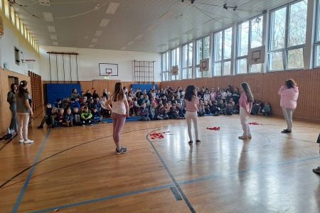 Viele Personen in einer Turnhalle, im Vordergrund 4 weibliche Personen die Rosa, weis angezogen sind